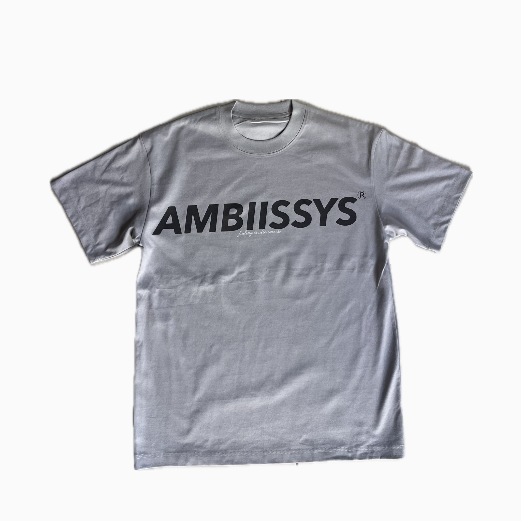 AMBIISSYS GREY TSHIRT