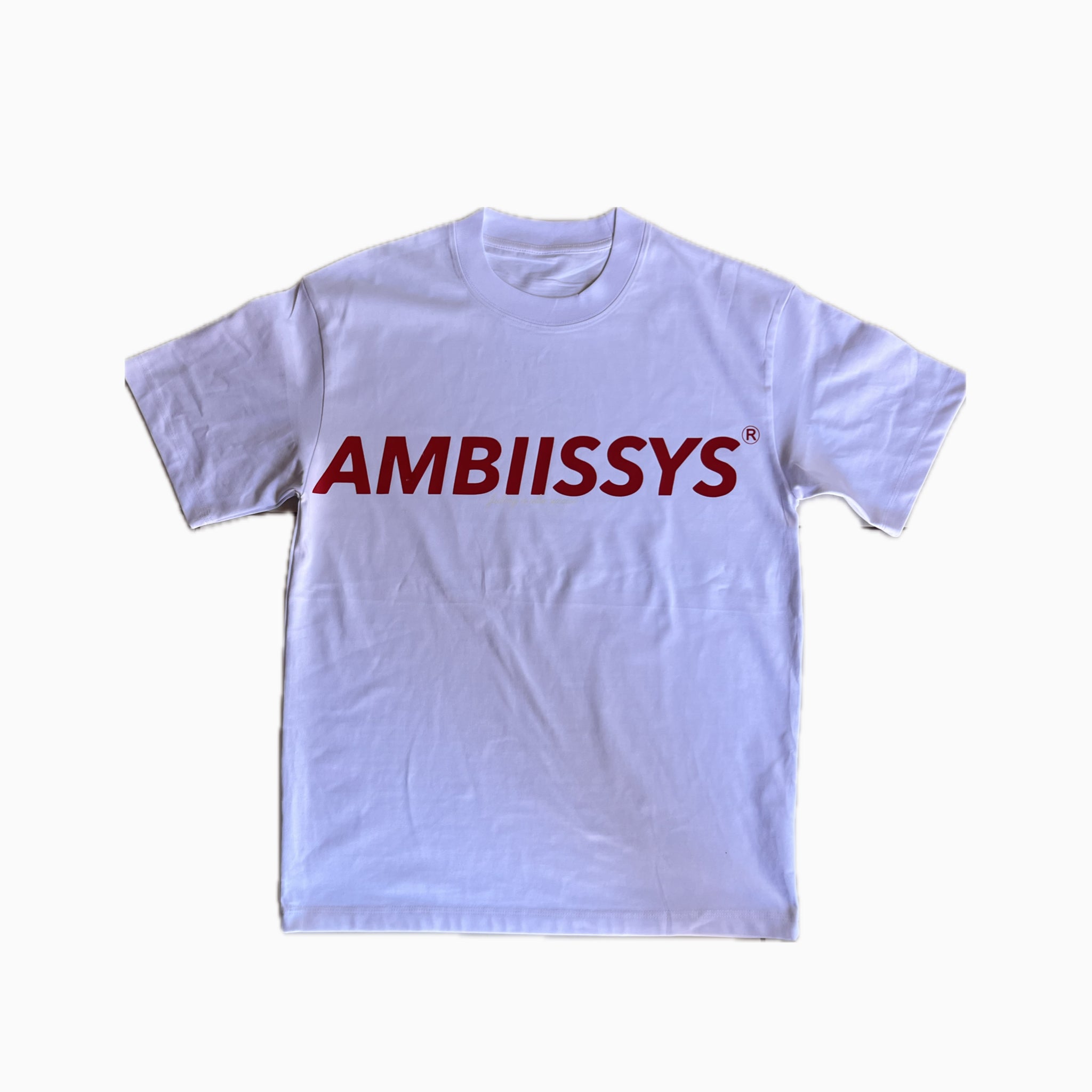 AMBIISSYS WHITE TSHIRT